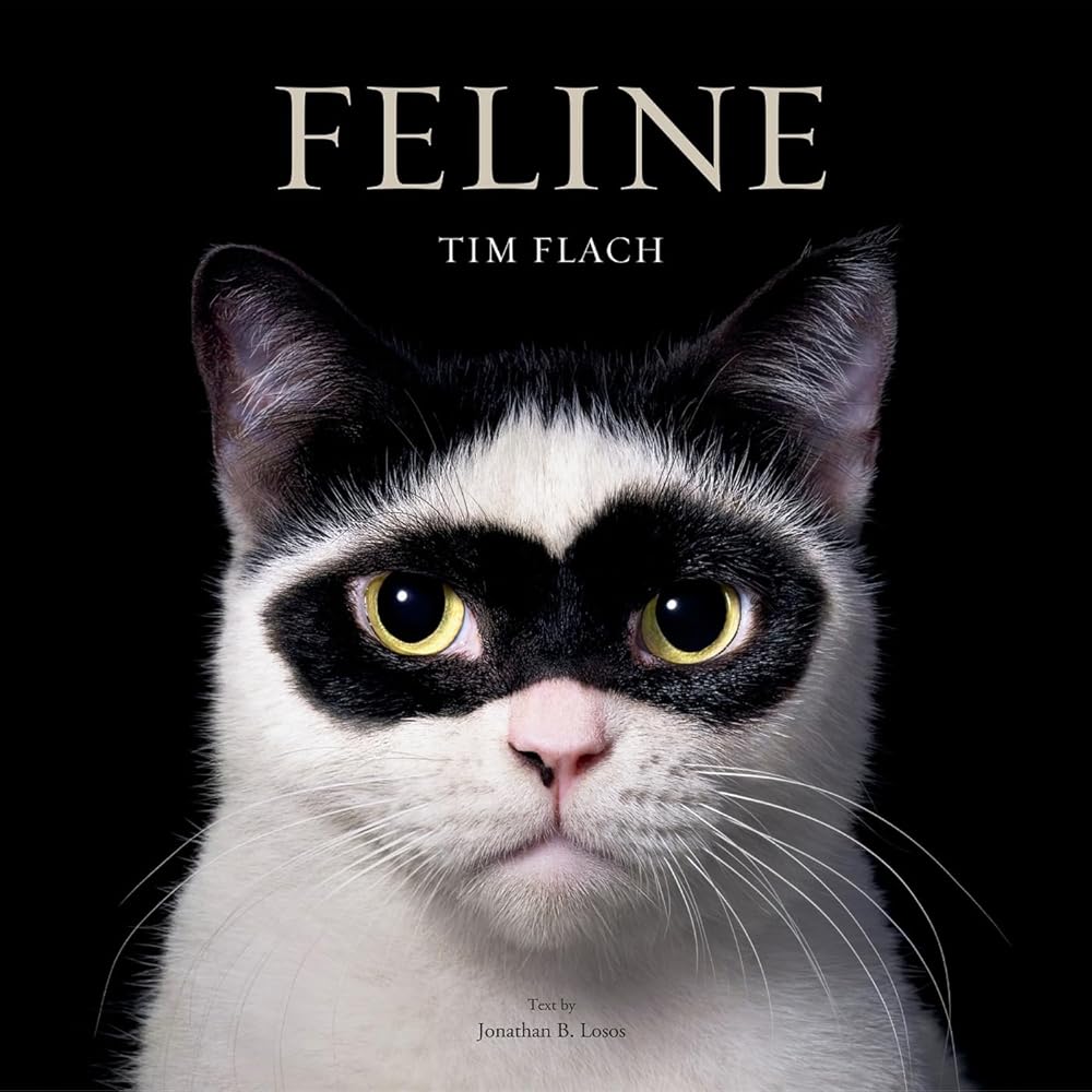 Feline: Photographs cover image