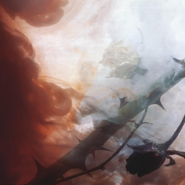 King Richard III: Third Series (Arden Shakespeare) cover image