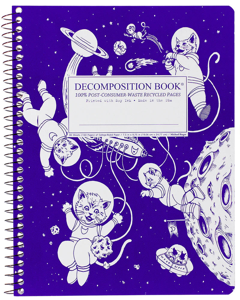 Kittens in Space Decomposition Book